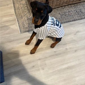 Meet your Posher, Gregory